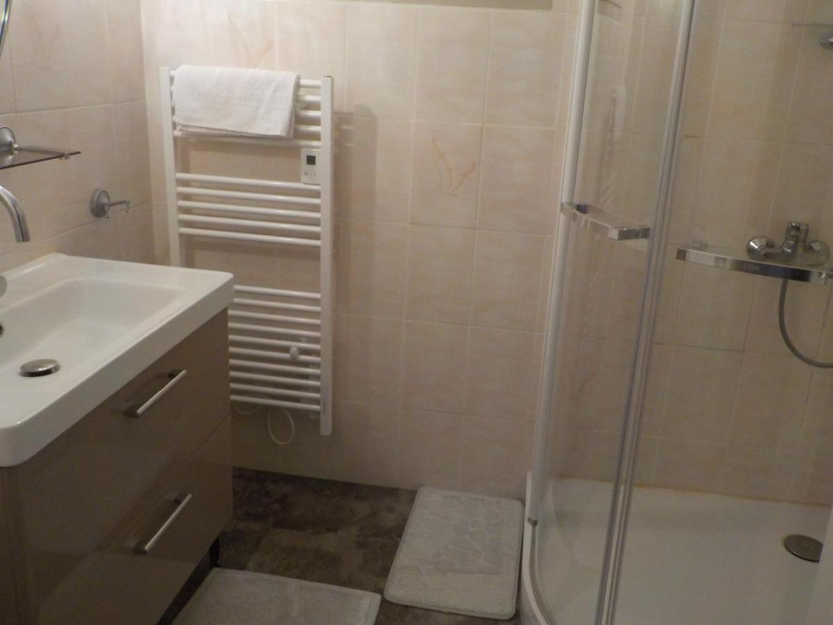 Charmant Appartement Dans Maison De Caractere Saint-Brice-sur-Vienne Dış mekan fotoğraf